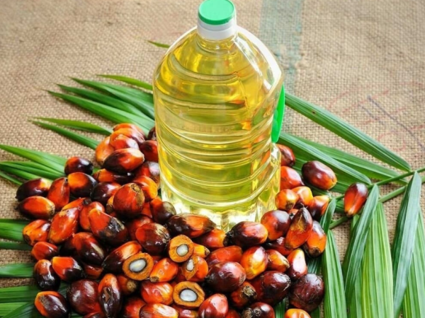 palm oil