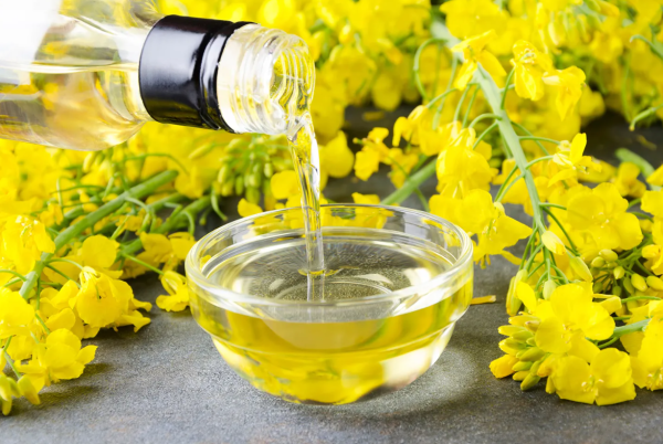 rapeseed oil